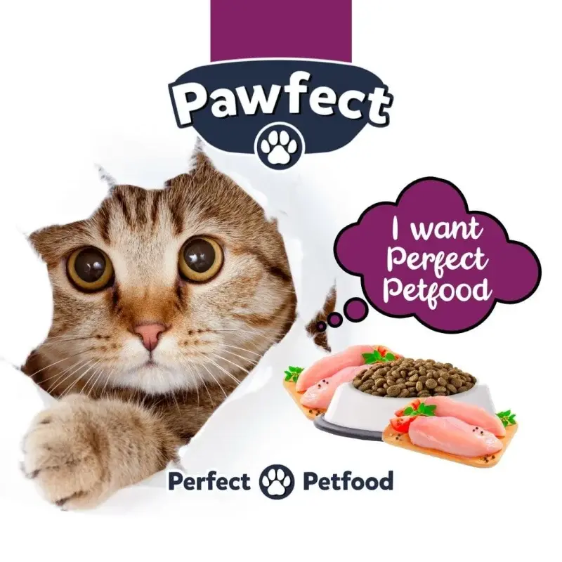 Pawfect Kitten cat food 1kg Chicken Flavor - Image 4