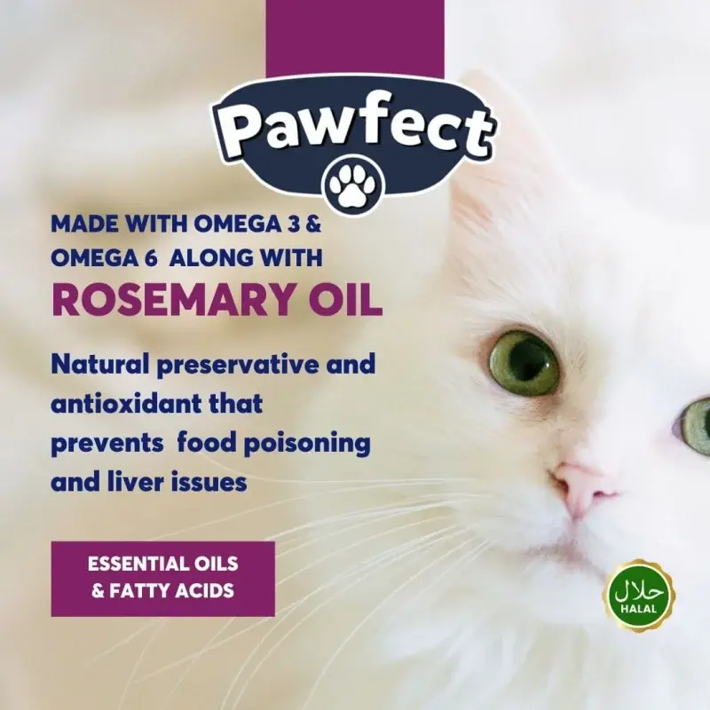 Pawfect Kitten cat food 1kg Chicken Flavor - Image 3