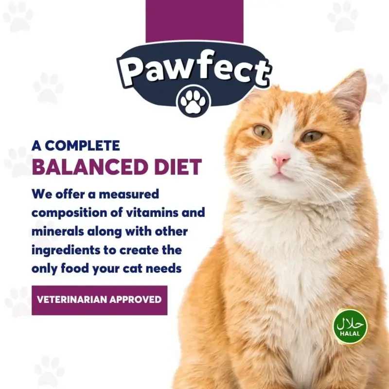 Pawfect Kitten cat food 1kg Chicken Flavor - Image 5