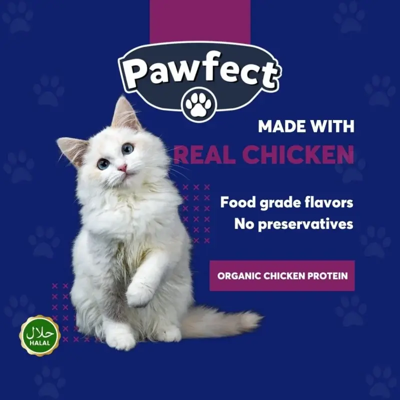 Pawfect Kitten cat food 1kg Chicken Flavor - Image 6