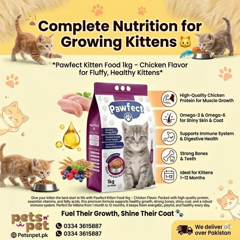 Pawfect kitten food