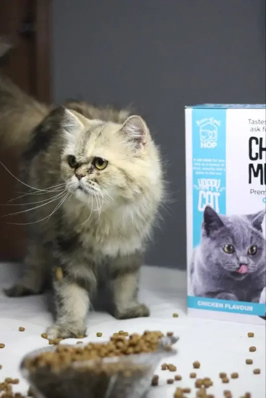 Cheow Meeow Cat food - Image 4