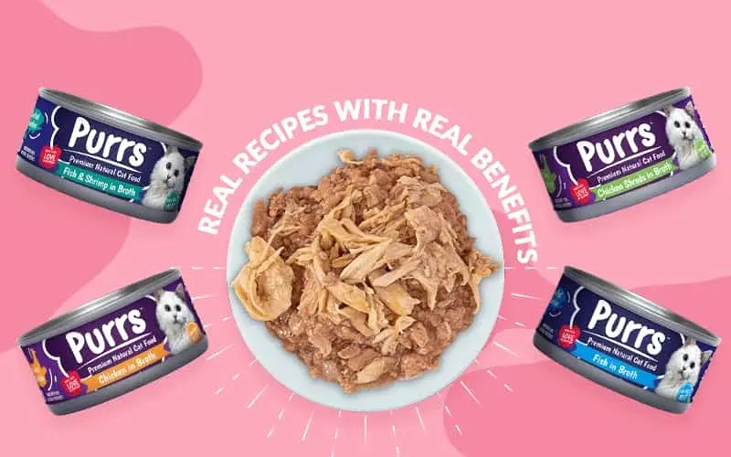 Purrs wet cat food 130g tin Chicken and fish Flavor - Image 2