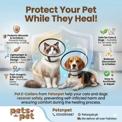 Pet E-collars For Cats and Dogs