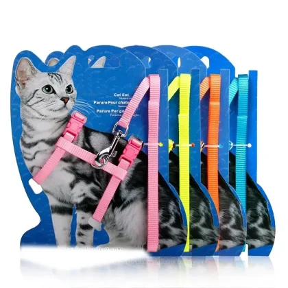 Cat Chest harness with Card