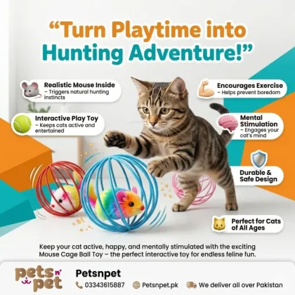 Mouse cage ball toy for cats