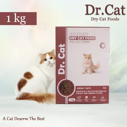 Dr cat food