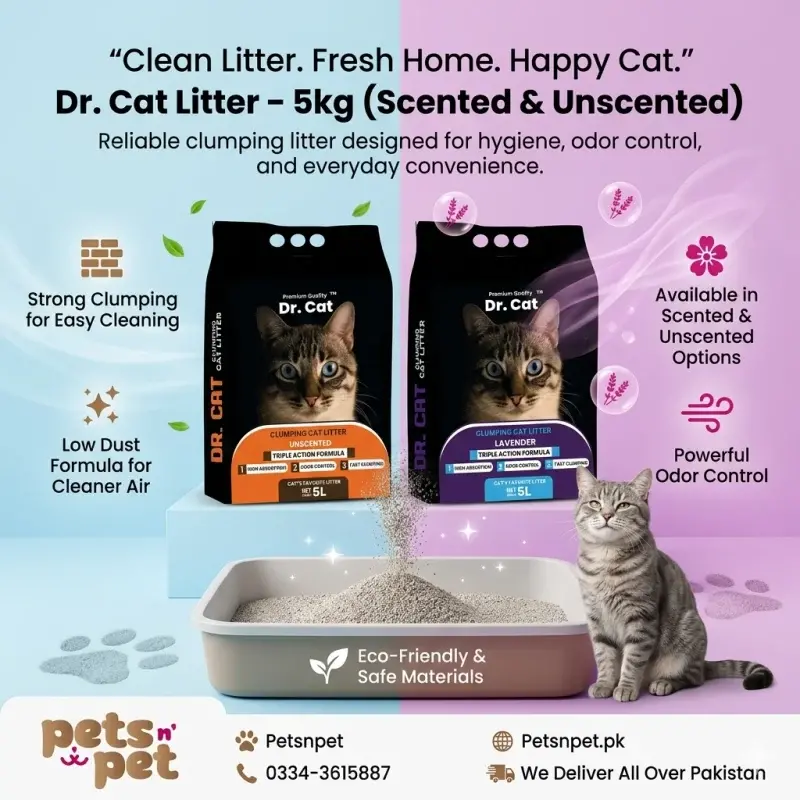 Dr cat Litter
