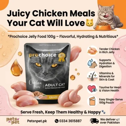 Prochoice Jelly Food 100g pouch for Adult and Kitten Chicken Flavor