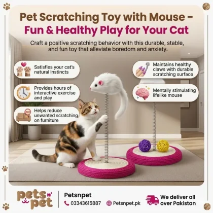 Pet scratching toy with mouse