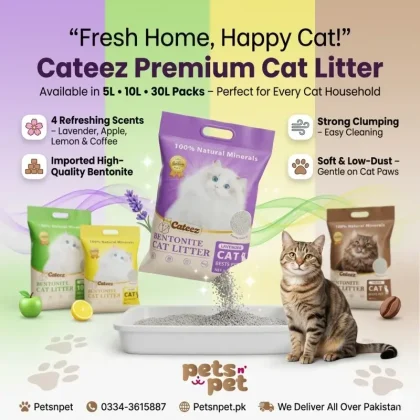 Cateez Cat litter imported High Quality Bentonite