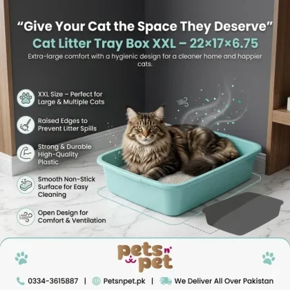 Cat Litter Tray Box XXL