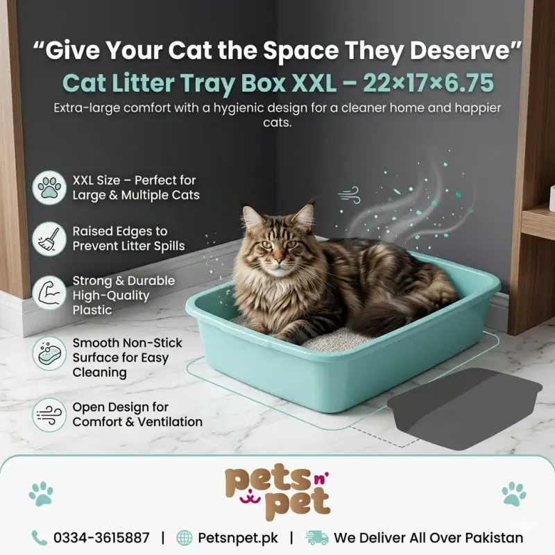 Cat Litter Tray Box XXL
