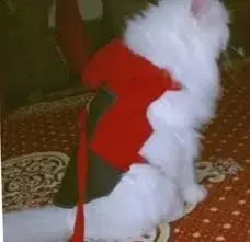 Winter Pet sweaters Shirts for Cats and Dogs