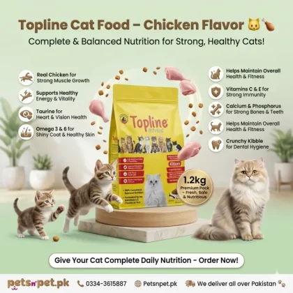 Topline Kitten Cat food 1.2kg Chicken Flavor For all Breeds