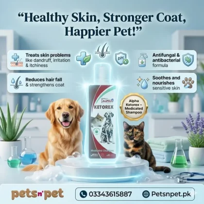 Alpha ketorex medicated shampoo for skin problems and hair fall