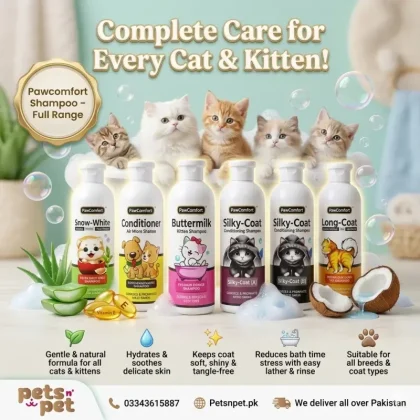 🐾 Pawcomfort Shampoo Complete Range Best for All Cats and Kittens – Gentle, Safe & Effective Give your cat the care they deserve with Pawcomfort Shampoo Complete Range – specially made for all breeds of cats and kittens. Whether you have a Persian beauty or a playful short-hair kitten, Pawcomfort keeps their coat soft, shiny, and healthy. ✅ Deep Cleansing, Gentle Formula Our shampoos gently remove dirt, oil, and odor without irritating sensitive skin. Made with aloe vera, vitamin E, and coconut-based cleansers, each wash leaves your pet clean, fresh, and happy. ✅ Perfect for Sensitive Skin No parabens. No sulfates. No artificial dyes. Just natural, pet-safe ingredients that soothe and nourish from root to tip. Safe for kittens and cats with allergies or skin issues. ✅ Shiny Coat & Healthy Skin Pawcomfort strengthens hair, reduces itching, and keeps the skin moisturized. With regular use, your cat’s fur stays tangle-free, glossy, and easy to manage. ✅ Fast Rinsing, Light Fragrance Our quick-lather formula saves time during baths. It rinses off easily and leaves behind a soft, clean scent that lasts. ✅ Variants for Every Need ✨ Anti-fungal ✨ Anti-bacterial ✨ Hypoallergenic ✨ Daily use formulas Trusted by vets and loved by cat parents, Pawcomfort makes grooming stress-free and fun. 🛁 Make bath time a breeze – and a bonding moment! Available now at Pets n Pets – your trusted store for premium pet care. 📍 Visit us at: Shop No F36, First Floor, Saima Pari Star, Block H, North Nazimabad, near 5 Star Chowrangi 🌐 Order online at: petsnpet.pk 📞 Call/WhatsApp: +92 334 3615887