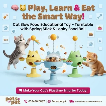 Cat high and fun Slow food Educational toy ball fun cat stick Cat turntable spring spin leaky food ball