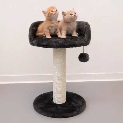 Cat Tree Scratching Pole with Bed & Toy – H47 x 31 cm. Sturdy sisal post, cozy top bed & fun dangling toy. Perfect play & rest spot for cats.
