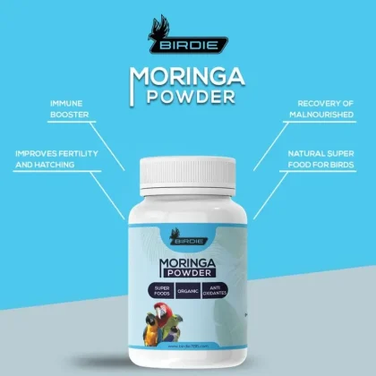Buy Birdie Moringa Powder for all birds – natural recovery, immunity, and fertility booster. Supports growth, vitality, and healthy breeding.