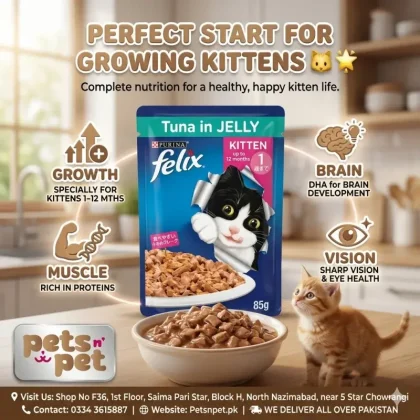 FELIX As Good As It Looks Jelly Wet Cat Food 85g Pouch