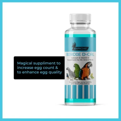 BIRDIE D CAL – premium calcium & vitamin D supplement for birds. Supports strong bones, healthy eggs, bright feathers & active life.
