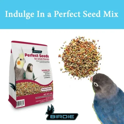 Birdie Perfect Seeds for Small Parrots & Birds – fresh, nutritious seed mix for daily energy, shiny feathers, and healthy happy pets.