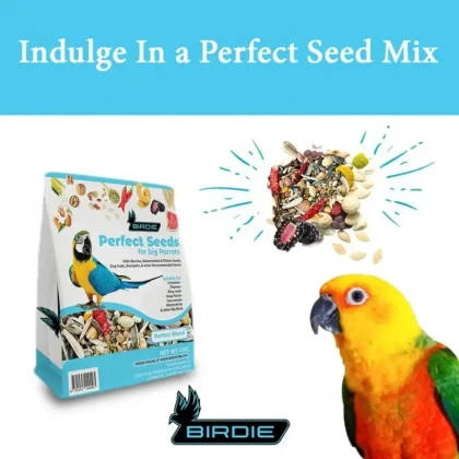 Birdie Perfect Seeds for Big Parrots & Birds – premium mix with rich nutrition, fresh taste, and daily energy for healthy, happy pets.