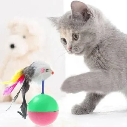 Shop Cat Toy Tumbler Ball with Feather Mouse to keep your cat active and happy. Interactive wobbling toy with feathers stimulates hunting instincts, reduces boredom, and adds fun to your cat’s daily life.