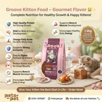 Groove Cat Kitten Food 1.2kg –Gourmet Flavor Healthy Growth & Complete Daily Nutrition