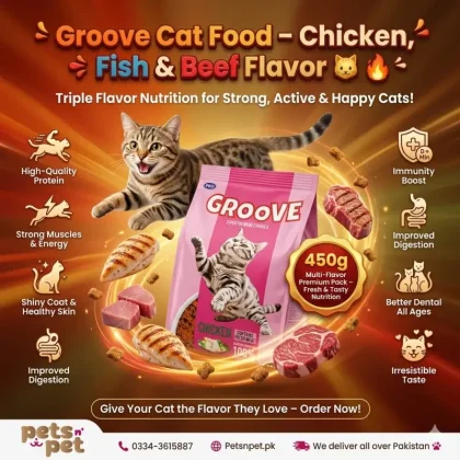 Groove Cat food food 450g Chicken Fish and Beef Flavor