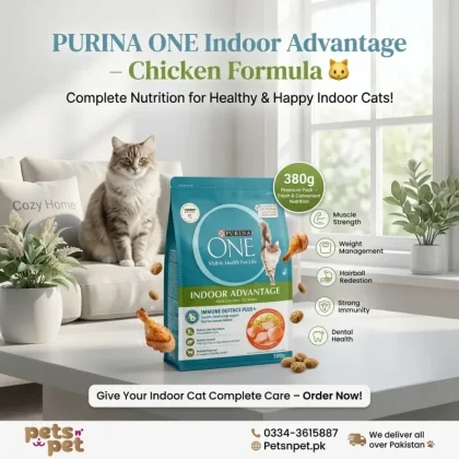 PURINA ONE Adult Indoor Advantage with Chicken Dry Cat Food 380g – Complete Nutrition for Healthy Indoor Cats