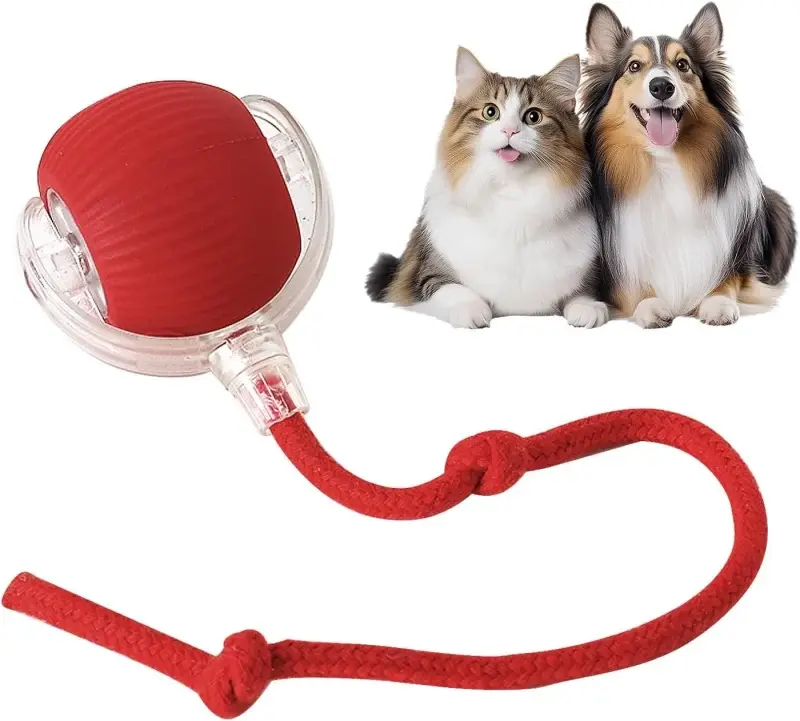 Buy the Rolling Smart Electric Pet Ball for Cats and Dogs at the best price in Pakistan. This interactive auto-moving ball keeps pets active, healthy, and entertained with smart motion, LED light, and long battery life. Perfect toy for reducing boredom and boosting daily exercise.