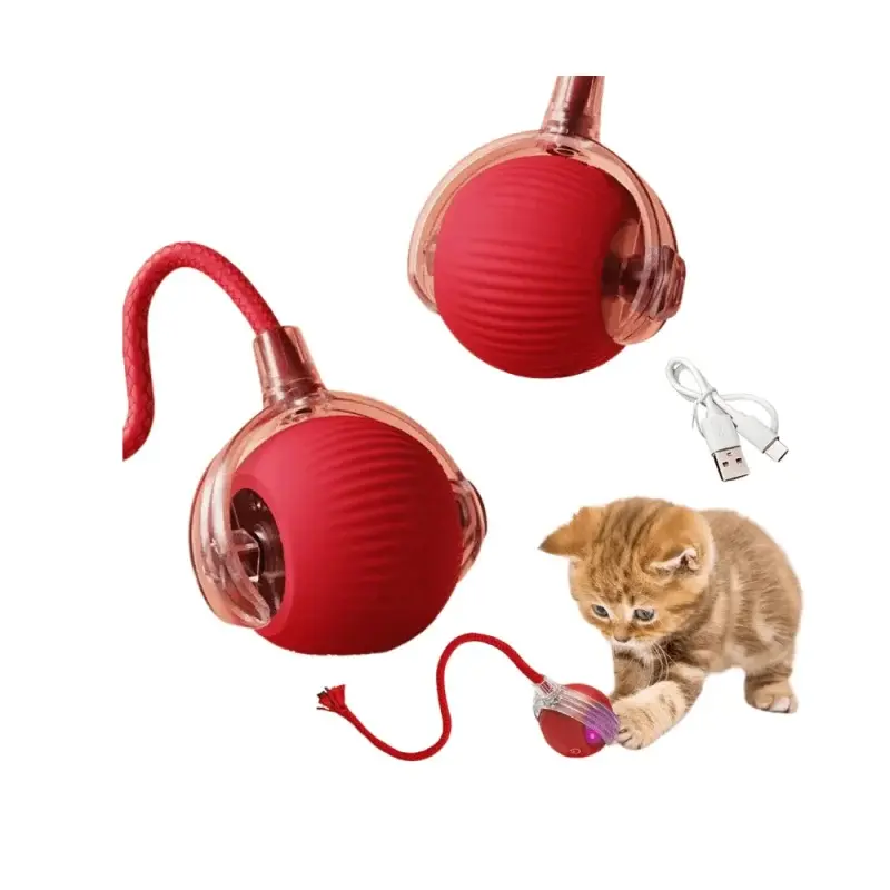 Buy the Rolling Smart Electric Pet Ball for Cats and Dogs at the best price in Pakistan. This interactive auto-moving ball keeps pets active, healthy, and entertained with smart motion, LED light, and long battery life. Perfect toy for reducing boredom and boosting daily exercise.