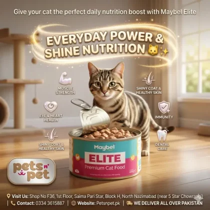 🐾 Maybel Elite Cat Food – 400gm Complete Nutrition for Healthy & Active Cats