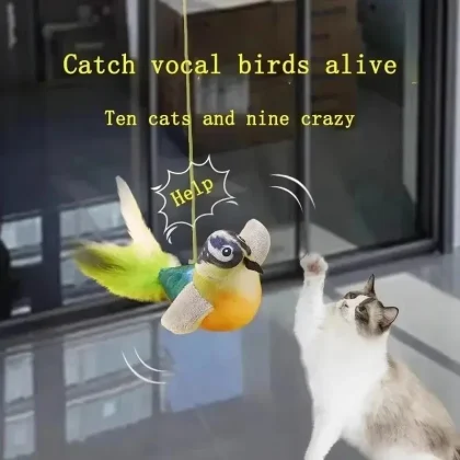 Interactive bird sound cat toy with elastic rope that relieves boredom, encourages active play, and resists scratching and biting. Safe, durable, and perfect for indoor cats.