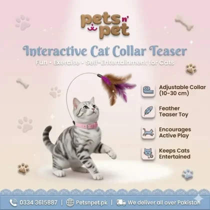 Cat Collar Teaser Toy – Interactive Feather Collar Toy for Cats