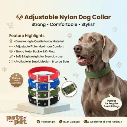 Adjustable Nylon Dog Collar – Durable & Comfortable (Small, Medium & Large Sizes)