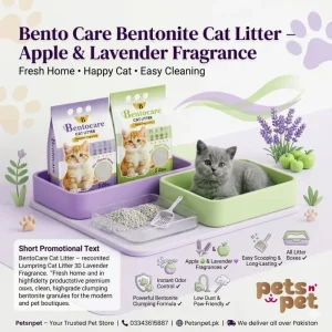 Bento Care Bentonite Cat Litter Apple and Lavender Fragnance