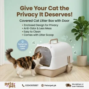 Covered Cat Litter Box with Door – Enclosed Anti-Odor Cat Toilet with Scoop