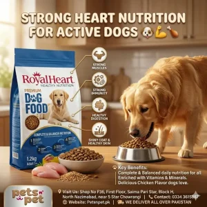 Royal Heart Dog Food 1.2kg – Chicken Flavor
