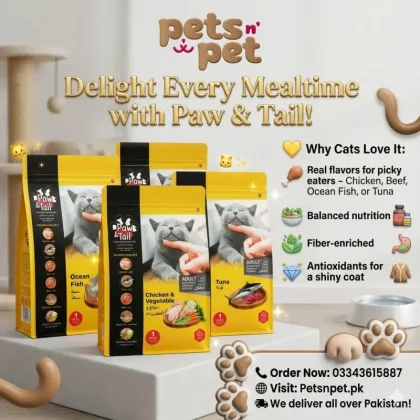 🐾 Paw & Tail Adult Cat Food – 1kg (Chicken / Beef / Ocean Fish / Tuna Flavor) 🐾