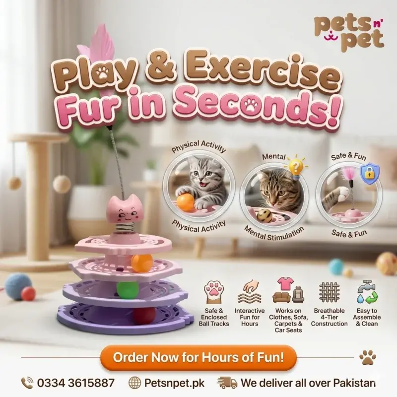 4-Tier Cat Track Tower Toy with a Spring Feather Teaser