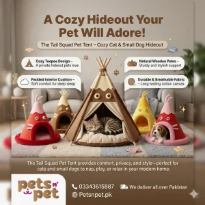 Give Your Pet a Cozy Secret Cat house Hideout!
