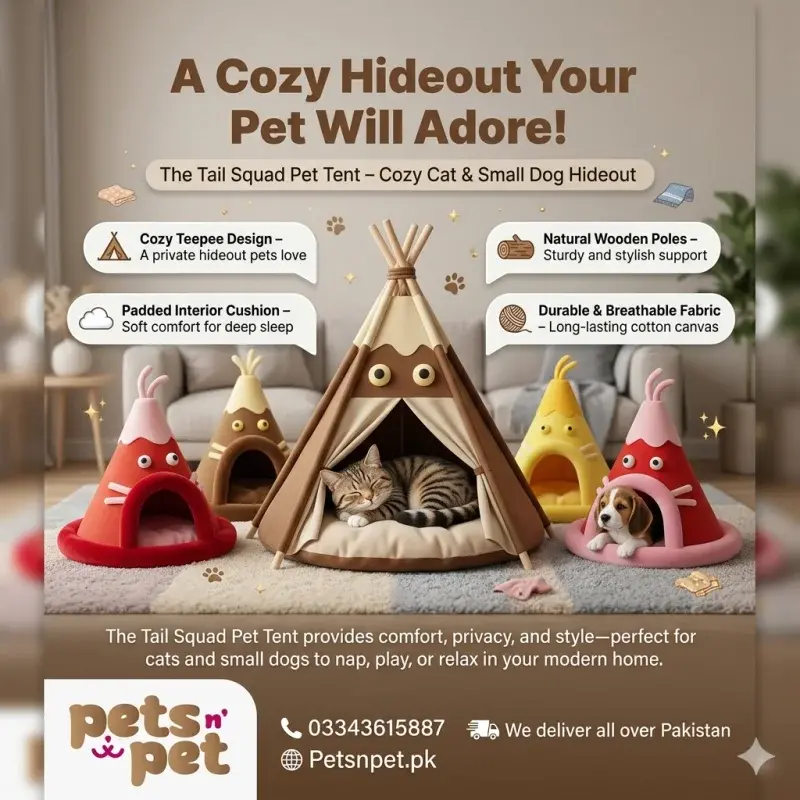 Give Your Pet a Cozy Secret Cat house Hideout!