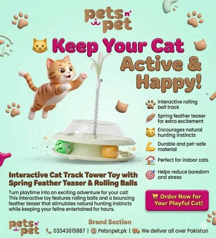 Interactive Cat Track Tower Toy with Spring Feather Teaser & Rolling Balls