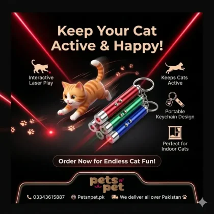 LED Laser Light Cat Toy – Interactive Light Toy for Cats & Kittens