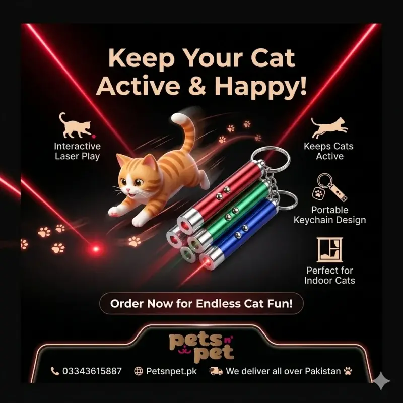 LED Laser Light Cat Toy – Interactive Light Toy for Cats & Kittens