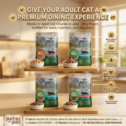 Mystic 1+ Adult Cat Chunks In Jelly – 85 Gram Pouch