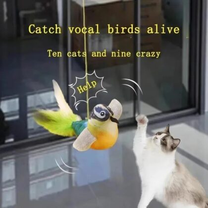 Interactive Bird Sound Cat Toy with Elastic Rope